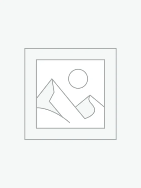 플레이스홀더